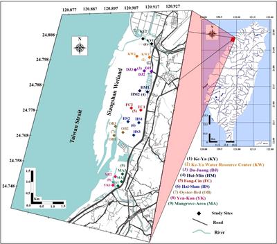 Exploring the diversity and structural response of sediment-associated microbiota communities to environmental pollution at the siangshan wetland in Taiwan using environmental DNA metagenomic approach